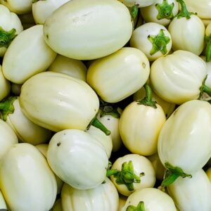 Bitter Balls