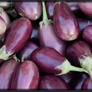 Eggplant